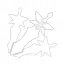 skill-icon