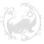 skill-icon