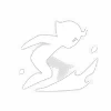skill-icon