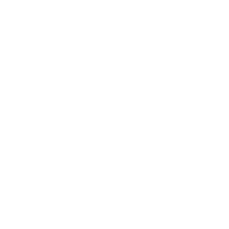 Kamisato Ayaka chapter icon
