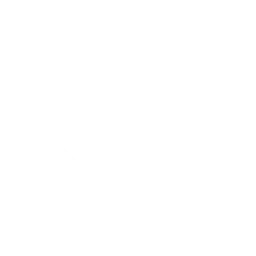 Barbara chapter icon