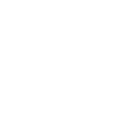 Chasca chapter icon
