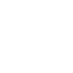 Chongyun chapter icon