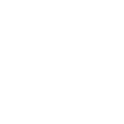 Dori chapter icon