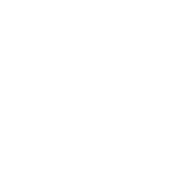 Faruzan chapter icon