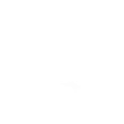 Gorou chapter icon