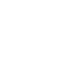 Hu Tao chapter icon