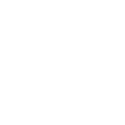 Layla chapter icon