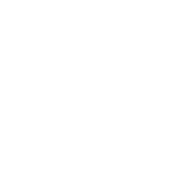 Lynette chapter icon