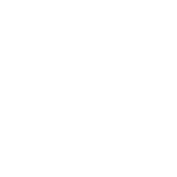 Nilou chapter icon