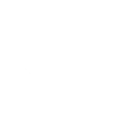 Noelle chapter icon