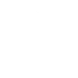 Raiden Shogun chapter icon
