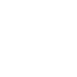 Tartaglia chapter icon