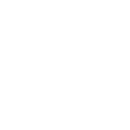 Venti chapter icon