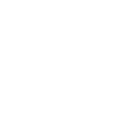 Xiao chapter icon