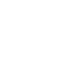 Yaoyao chapter icon
