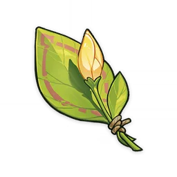 A Flower Yet to Bloom