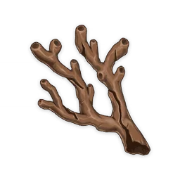 Coral Branch of a Distant Sea