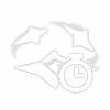 skill-icon