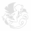 skill-icon