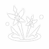 skill-icon